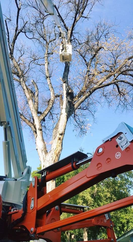 Photo of Easy Lift 70-36AJ Artwork for Tree Care